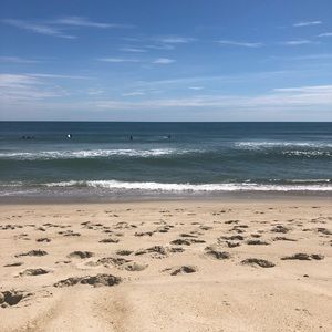 Meet your Posher, Lynn